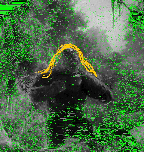 Filename: KingKong.png
Size: 205.3 KB
02-27-2018, 07:10 AM