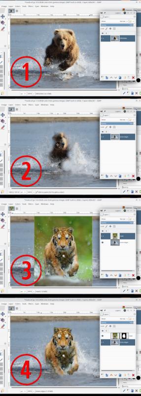 Filename: steps.jpg
Size: 179.99 KB
12-14-2024, 06:19 PM
